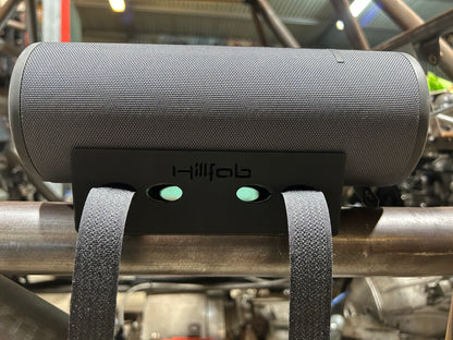 Bluetooth speaker mount